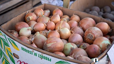 В Минсельхозе Челябинской области назвали причину скачка цен на лук