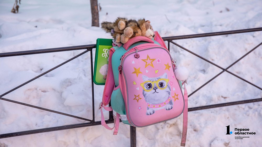 Где в Челябинской области отменили занятия в школах из‑за морозов 20 февраля