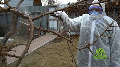 Зеленая передача 23.02.2023