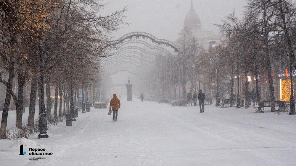 Слабые метели и порывистый ветер ожидаются в Челябинской области