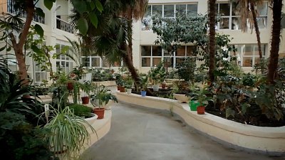 Экологическая эстетика Каслей: оазис под пальмами на Урале