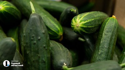 В Челябинской области снизились цены на огурцы