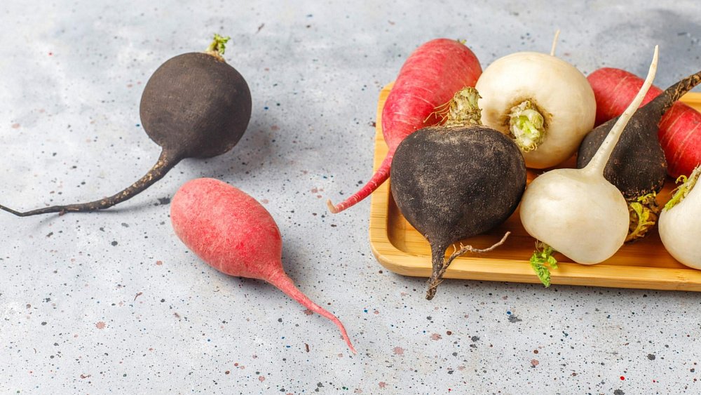 Черная редька помогает при суставных болях