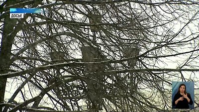 Весна опаздывает с приходом в регион