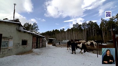 Родители не против детских подработок