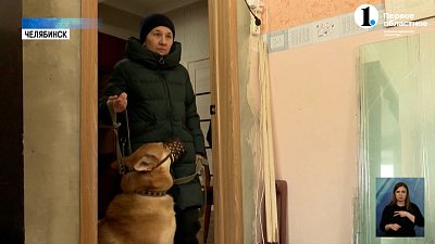 Челябинские ветеринары вакцинируют кошек и собак