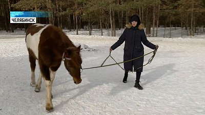 Родители не против подработки подростков с 14 лет