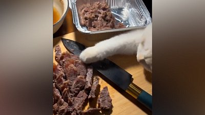 Мех и смех: воришка, виброкровать и слепая зона