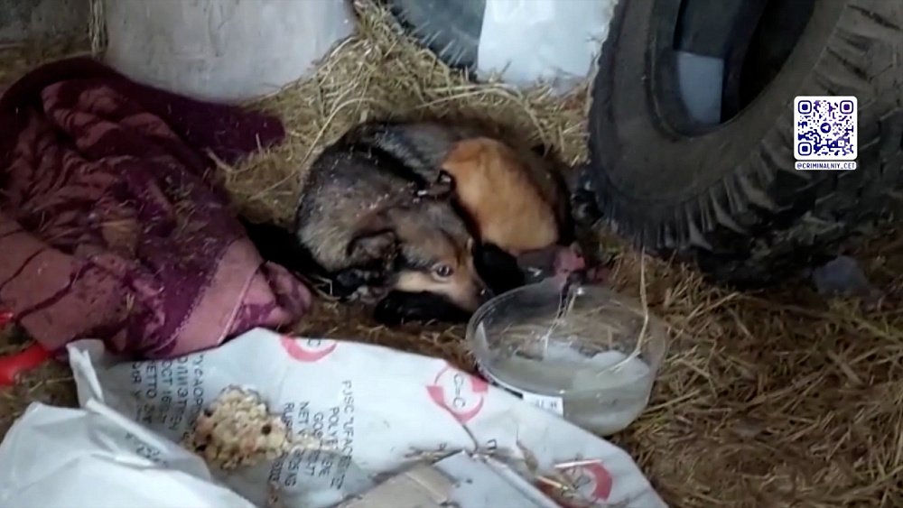 Сосулька рухнула на машину: кто ответит?