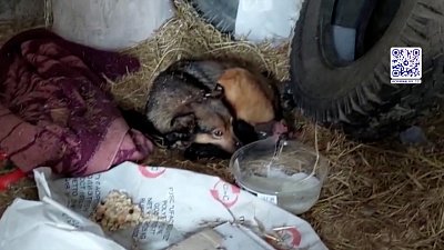 Сосулька рухнула на машину: кто ответит?