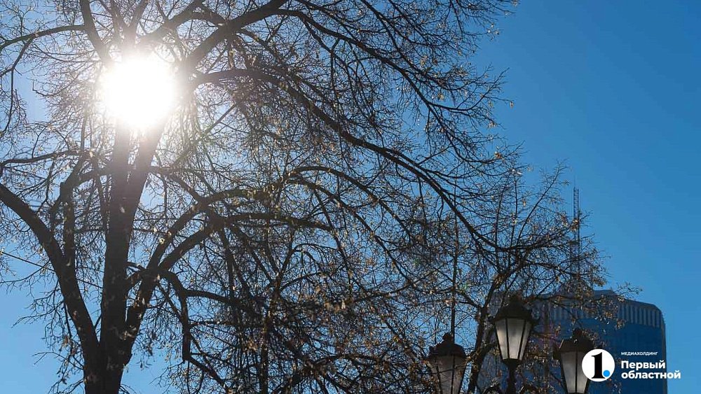 Тимофея Весновея отмечают по народному календарю 6 марта