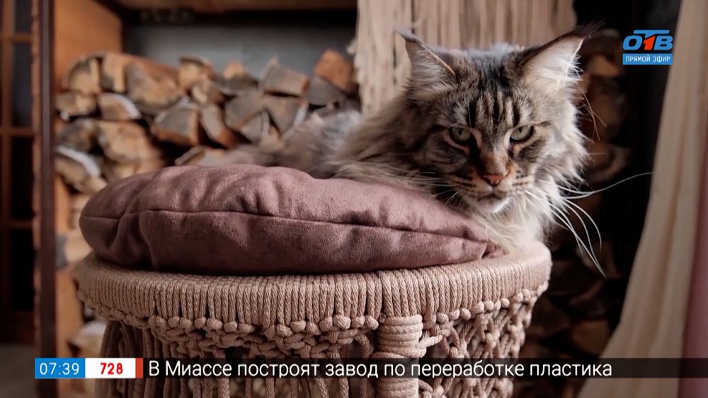 Качели-гамаки в сюжете «Вязанная мебель»