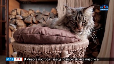 Качели-гамаки в сюжете «Вязанная мебель»