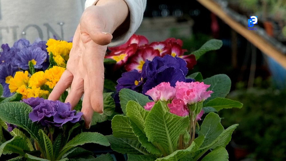 Что подарить на 8 марта?