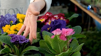 Что подарить на 8 марта?