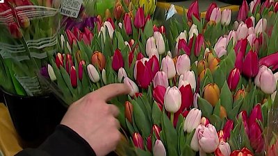 Как порадовать коллег 8 марта?