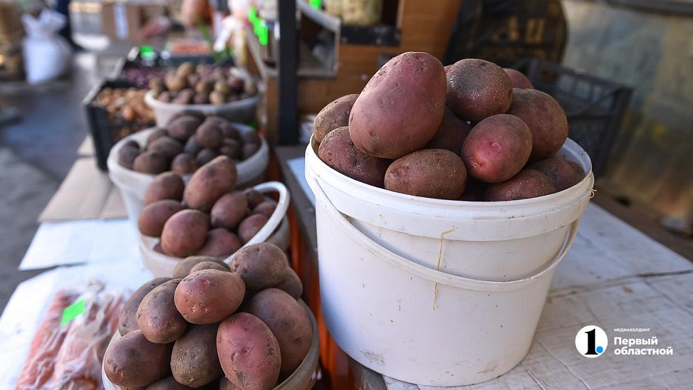 В России начнут выращивать картофель для чипсов и фри