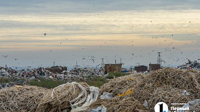 В Нижнем Уфалее рекультивируют свалку за 108 млн рублей