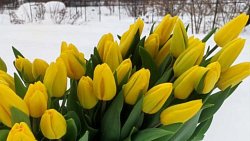 Семья из Аши открыла цветочный бизнес на средства социального контракта