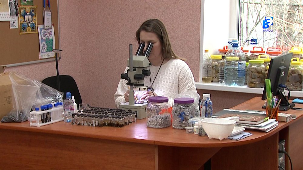 Арахнолог работает в Ильменском заповеднике