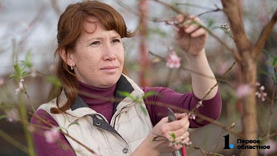 В Челябинской области пресекли попытку незаконного ввоза крупной партии саженцев из Киргизии В Челябинской области пресекли попытку незаконного ввоза крупной партии саженцев из Киргизии