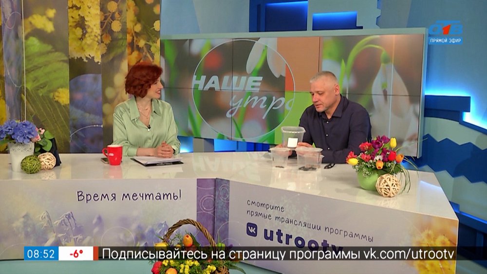 Насекомые—питомцы — Гость в студии