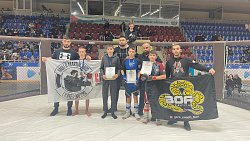 Челябинские бойцы вошли в тройку сильнейших на чемпионате УрФО по ММА