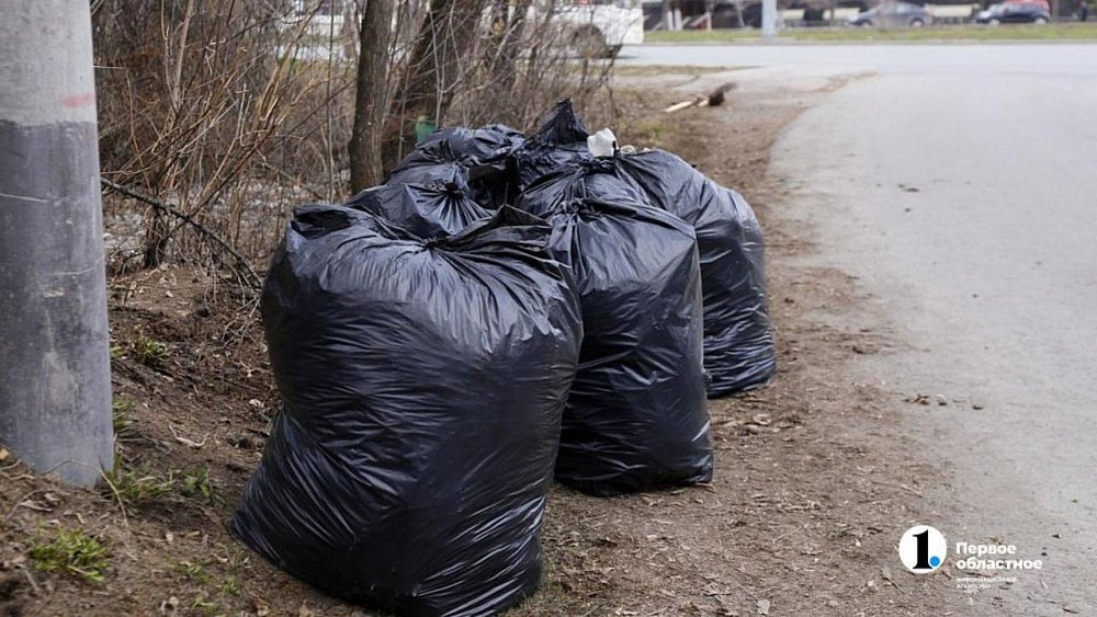 Весенние субботники в Челябинской области стартуют с 17 апреля