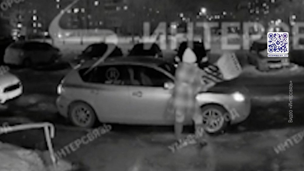 Женщина терроризирует соседей в Челябинске