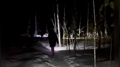 В Челябинске волонтеры нашли потерявшуюся в городском бору девушку
