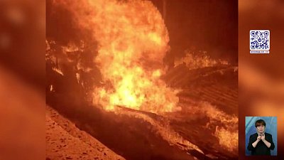 В Златоусте сгорела дача на двух хозяев