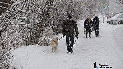 На Челябинскую область обрушился снегопад. Фоторепортаж