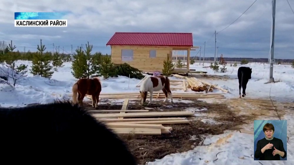 В Каслинском районе откроют пони-кафе