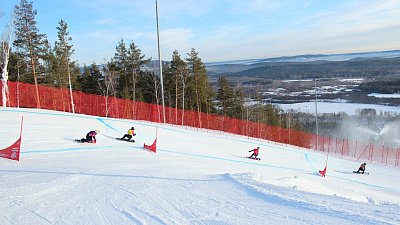 В Челябинской области стали известны победители этапов Кубка России по сноуборду