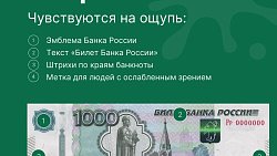 В Челябинской области в два раза снизилось число фальшивых купюр