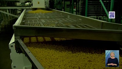 Генконсул КНР посетил макаронную фабрику