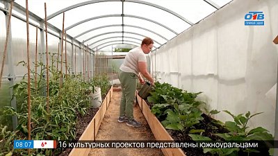 От чего зависит урожай в теплице в рубрике «Руки садовода»