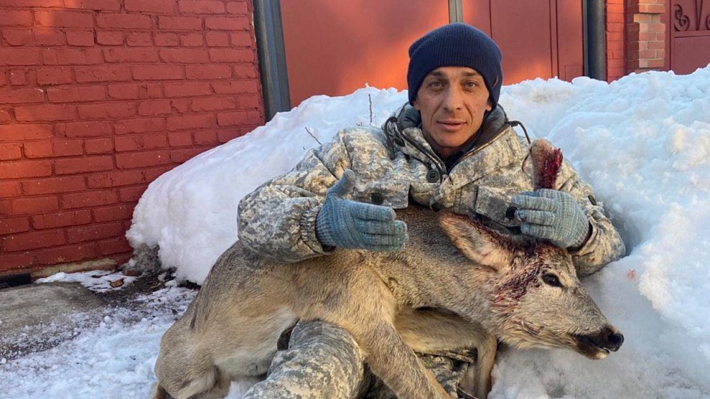 В Троицке поймали и выпустили в лес заблудившуюся в городе косулю