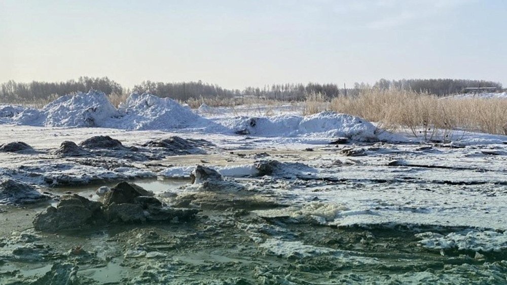 В Челябинской области обнаружили жидкие отходы на берегу водоема