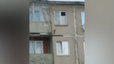 В Озерске белка-форточница попала на видео