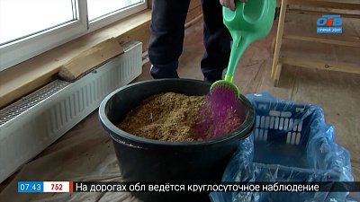 Прививание черенком в рубрике «Руки садовода»