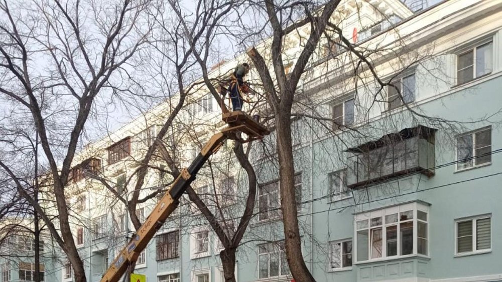 В Челябинске начался сезон весенней обрезки деревьев