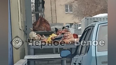 В Магнитогорске птицы клюют мясо, которое продают на рынке