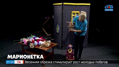 Как устроен Кукольный театр? — в сюжете «День Кукольника»