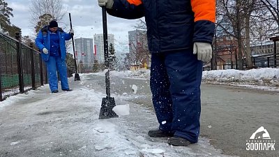 В Челябинском зоопарке рассказали об уборке территории