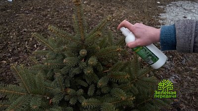 Новое объединение садоводов в программе «Зеленая передача»
