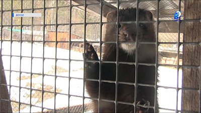 Сотрудник Ильменского заповедника номинирован на географический «Оскар»