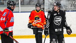 В Челябинске завершился юношеский хоккейный турнир «Золотая шайба»