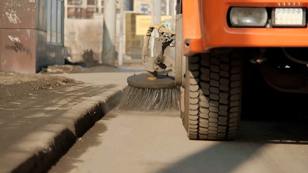 «Время новостей. Итоги»: подкармливать и гладить бездомных животных теперь запрещено