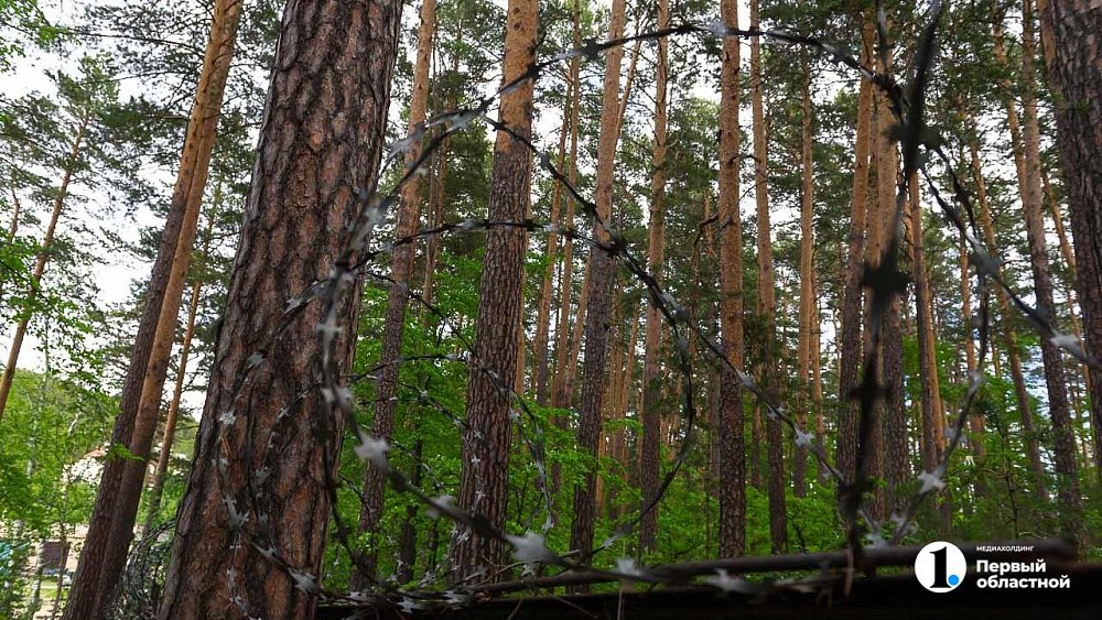 Что запрещено делать 28 марта, в Александров день